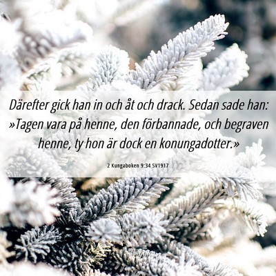 Picture 06 - 2 Kungaboken 9:34 SV1917 - Därefter gick han in och åt och drack. Sedan - Bible Verse Picture