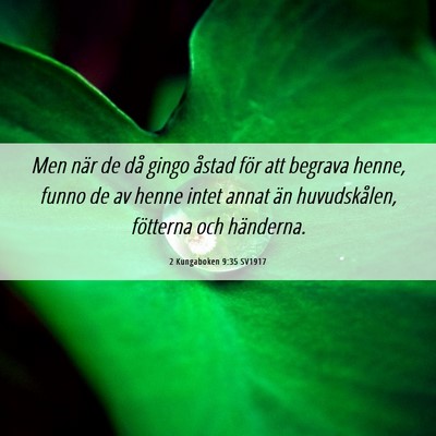 Picture 06 - 2 Kungaboken 9:35 SV1917 - Men när de då gingo åstad för att begrava - Bible Verse Picture