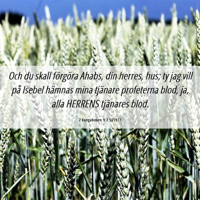 Picture 06 - 2 Kungaboken 9:7 SV1917 - Och du skall förgöra Ahabs, din herres, hus; ty - Bible Verse Picture