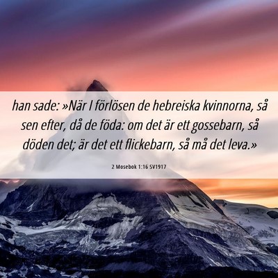 Picture 06 - 2 Mosebok 1:16 SV1917 - han sade: »När I förlösen de hebreiska - Bible Verse Picture