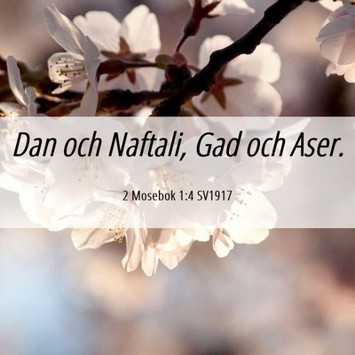 Picture 06 - 2 Mosebok 1:4 SV1917 - Dan och Naftali, Gad och - Bible Verse Picture