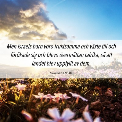 Picture 06 - 2 Mosebok 1:7 SV1917 - Men Israels barn voro fruktsamma och växte till - Bible Verse Picture