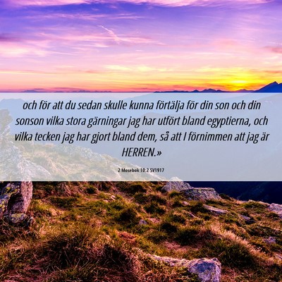 Picture 06 - 2 Mosebok 10:2 SV1917 - och för att du sedan skulle kunna förtälja - Bible Verse Picture