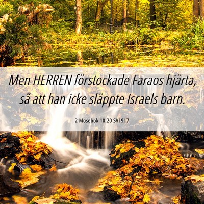 Picture 06 - 2 Mosebok 10:20 SV1917 - Men HERREN förstockade Faraos hjärta, så att - Bible Verse Picture