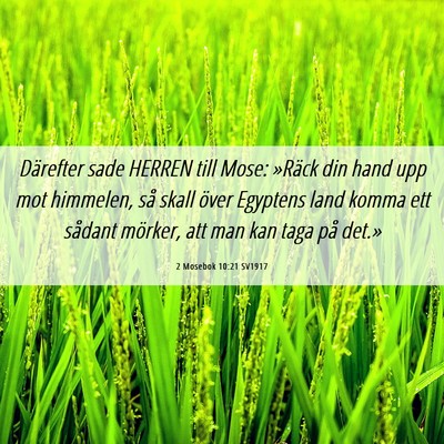 Picture 06 - 2 Mosebok 10:21 SV1917 - Därefter sade HERREN till Mose: »Räck din hand - Bible Verse Picture