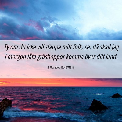 Picture 06 - 2 Mosebok 10:4 SV1917 - Ty om du icke vill släppa mitt folk, se, då - Bible Verse Picture