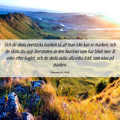 Picture 06 - 2 Mosebok 10:5 SV1917 - Och de skola övertäcka marken så att man icke - Bible Verse Picture