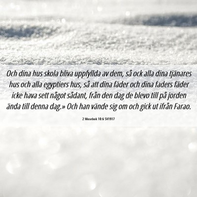 Picture 06 - 2 Mosebok 10:6 SV1917 - Och dina hus skola bliva uppfyllda av dem, så - Bible Verse Picture