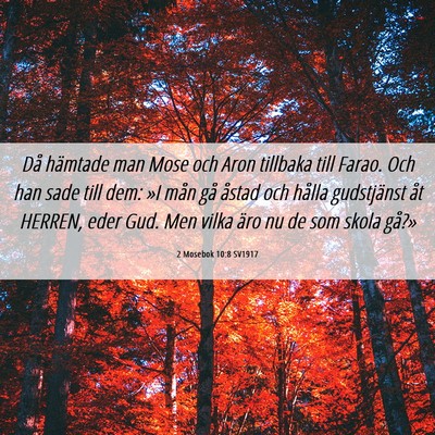 Picture 06 - 2 Mosebok 10:8 SV1917 - Då hämtade man Mose och Aron tillbaka till - Bible Verse Picture
