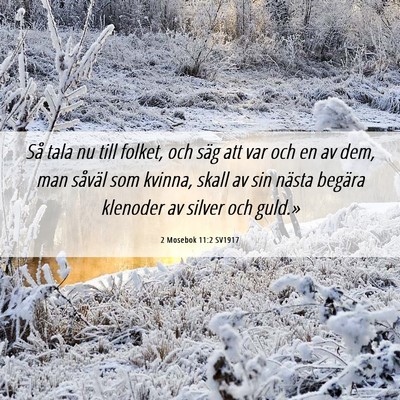 Picture 06 - 2 Mosebok 11:2 SV1917 - Så tala nu till folket, och säg att var och en - Bible Verse Picture