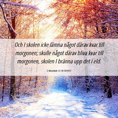 Picture 06 - 2 Mosebok 12:10 SV1917 - Och I skolen icke lämna något därav kvar till - Bible Verse Picture