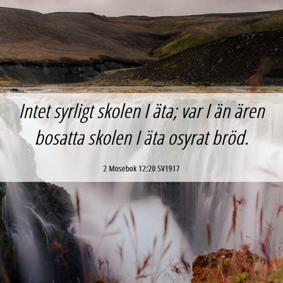 Picture 06 - 2 Mosebok 12:20 SV1917 - Intet syrligt skolen I äta; var I än ären - Bible Verse Picture