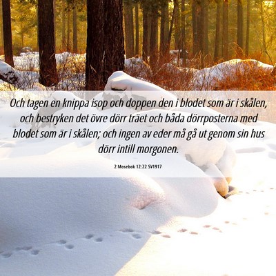 Picture 06 - 2 Mosebok 12:22 SV1917 - Och tagen en knippa isop och doppen den i blodet - Bible Verse Picture