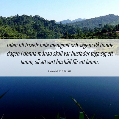 Picture 06 - 2 Mosebok 12:3 SV1917 - Talen till Israels hela menighet och sägen: På - Bible Verse Picture