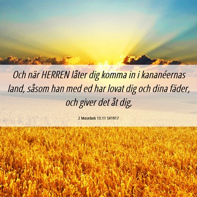 Picture 06 - 2 Mosebok 13:11 SV1917 - Och när HERREN låter dig komma in i - Bible Verse Picture