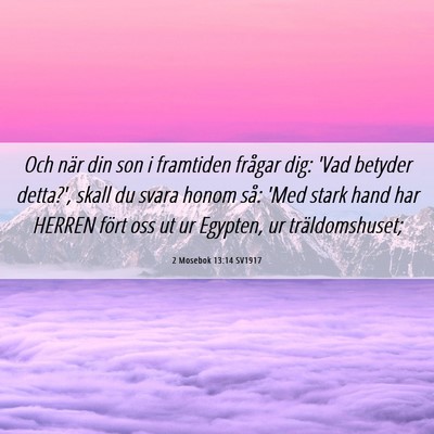 Picture 06 - 2 Mosebok 13:14 SV1917 - Och när din son i framtiden frågar dig: 'Vad - Bible Verse Picture