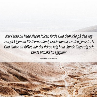 Picture 06 - 2 Mosebok 13:17 SV1917 - När Farao nu hade släppt folket, förde Gud dem - Bible Verse Picture