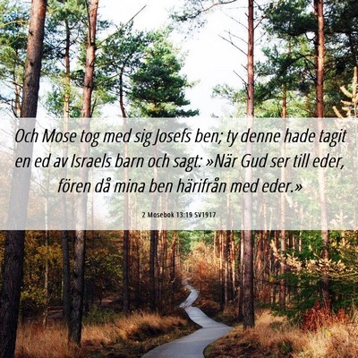 Picture 06 - 2 Mosebok 13:19 SV1917 - Och Mose tog med sig Josefs ben; ty denne hade - Bible Verse Picture