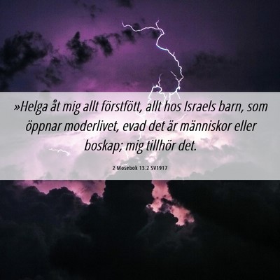 Picture 06 - 2 Mosebok 13:2 SV1917 - »Helga åt mig allt förstfött, allt hos - Bible Verse Picture
