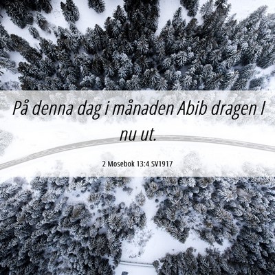 Picture 06 - 2 Mosebok 13:4 SV1917 - På denna dag i månaden Abib dragen I nu - Bible Verse Picture