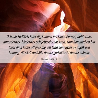 Picture 06 - 2 Mosebok 13:5 SV1917 - Och när HERREN låter dig komma in i - Bible Verse Picture