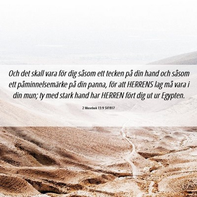 Picture 06 - 2 Mosebok 13:9 SV1917 - Och det skall vara för dig såsom ett tecken på - Bible Verse Picture