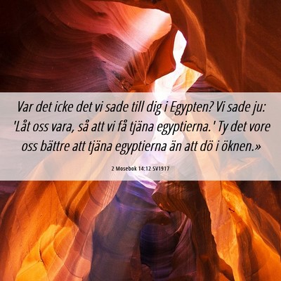 Picture 06 - 2 Mosebok 14:12 SV1917 - Var det icke det vi sade till dig i Egypten? Vi - Bible Verse Picture