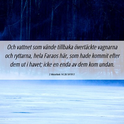 Picture 06 - 2 Mosebok 14:28 SV1917 - Och vattnet som vände tillbaka övertäckte - Bible Verse Picture