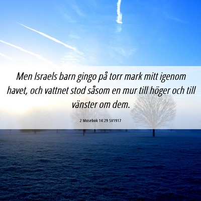 Picture 06 - 2 Mosebok 14:29 SV1917 - Men Israels barn gingo på torr mark mitt igenom - Bible Verse Picture