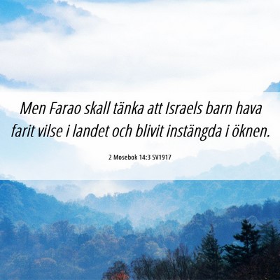 Picture 06 - 2 Mosebok 14:3 SV1917 - Men Farao skall tänka att Israels barn hava - Bible Verse Picture
