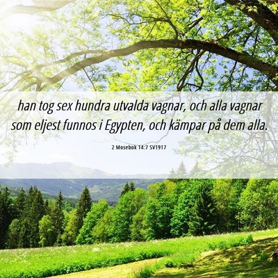 Picture 06 - 2 Mosebok 14:7 SV1917 - han tog sex hundra utvalda vagnar, och alla - Bible Verse Picture