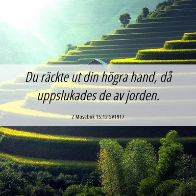 Picture 06 - 2 Mosebok 15:12 SV1917 - Du räckte ut din högra hand, då uppslukades de - Bible Verse Picture