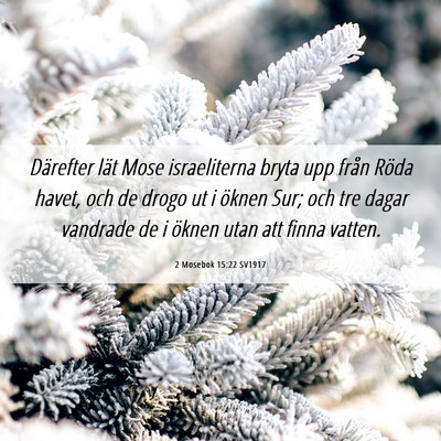 Picture 06 - 2 Mosebok 15:22 SV1917 - Därefter lät Mose israeliterna bryta upp från - Bible Verse Picture