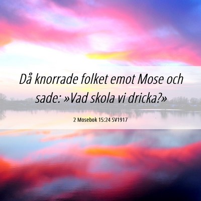 Picture 06 - 2 Mosebok 15:24 SV1917 - Då knorrade folket emot Mose och sade: »Vad - Bible Verse Picture