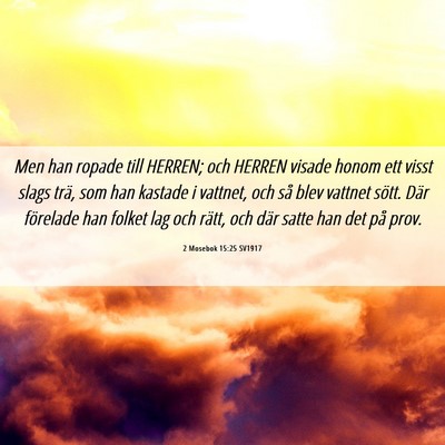 Picture 06 - 2 Mosebok 15:25 SV1917 - Men han ropade till HERREN; och HERREN visade - Bible Verse Picture