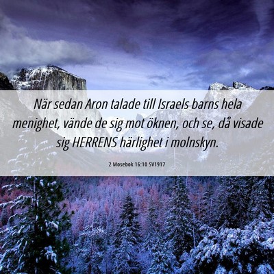 Picture 06 - 2 Mosebok 16:10 SV1917 - När sedan Aron talade till Israels barns hela - Bible Verse Picture