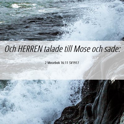 Picture 06 - 2 Mosebok 16:11 SV1917 - Och HERREN talade till Mose och - Bible Verse Picture