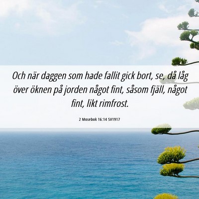 Picture 06 - 2 Mosebok 16:14 SV1917 - Och när daggen som hade fallit gick bort, se, - Bible Verse Picture