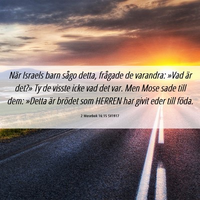 Picture 06 - 2 Mosebok 16:15 SV1917 - När Israels barn sågo detta, frågade de - Bible Verse Picture