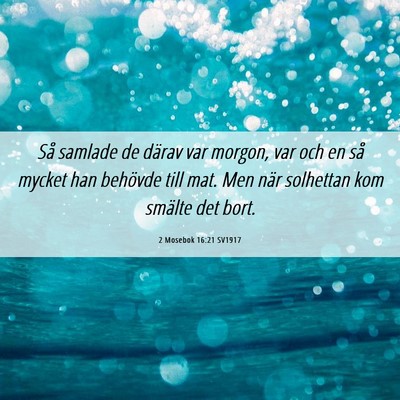 Picture 06 - 2 Mosebok 16:21 SV1917 - Så samlade de därav var morgon, var och en så - Bible Verse Picture