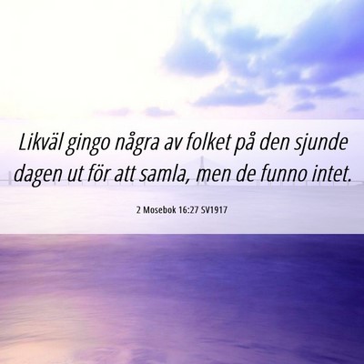 Picture 06 - 2 Mosebok 16:27 SV1917 - Likväl gingo några av folket på den sjunde - Bible Verse Picture
