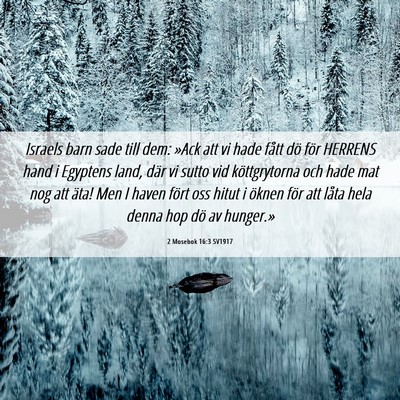 Picture 06 - 2 Mosebok 16:3 SV1917 - Israels barn sade till dem: »Ack att vi hade - Bible Verse Picture