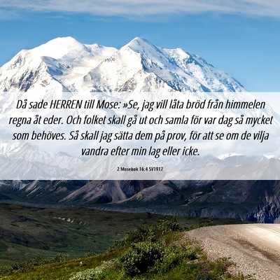 Picture 06 - 2 Mosebok 16:4 SV1917 - Då sade HERREN till Mose: »Se, jag vill låta - Bible Verse Picture