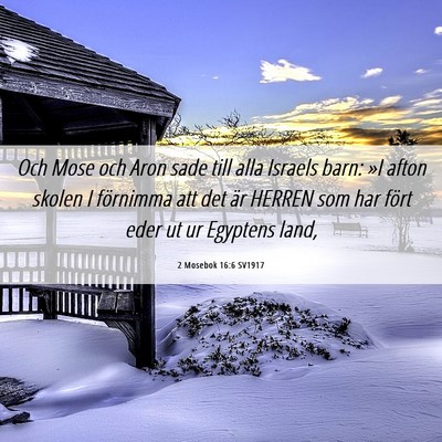 Picture 06 - 2 Mosebok 16:6 SV1917 - Och Mose och Aron sade till alla Israels barn: - Bible Verse Picture