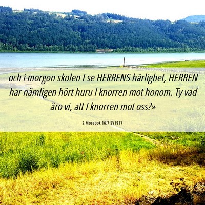 Picture 06 - 2 Mosebok 16:7 SV1917 - och i morgon skolen I se HERRENS härlighet, - Bible Verse Picture