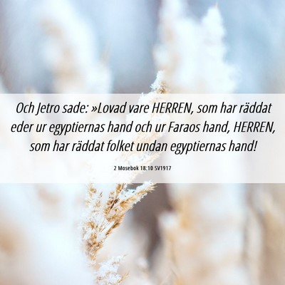 Picture 06 - 2 Mosebok 18:10 SV1917 - Och Jetro sade: »Lovad vare HERREN, som har - Bible Verse Picture