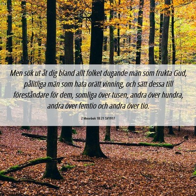 Picture 06 - 2 Mosebok 18:21 SV1917 - Men sök ut åt dig bland allt folket dugande - Bible Verse Picture