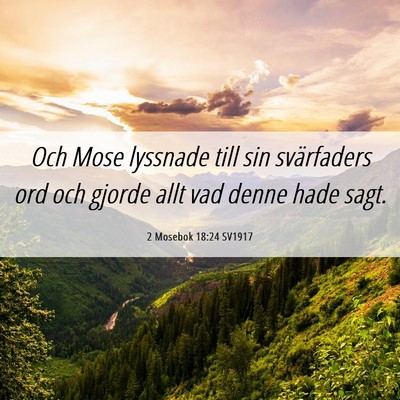 Picture 06 - 2 Mosebok 18:24 SV1917 - Och Mose lyssnade till sin svärfaders ord och - Bible Verse Picture