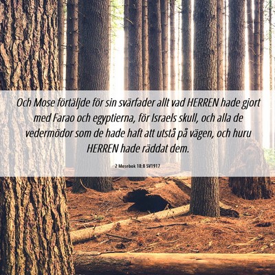 Picture 06 - 2 Mosebok 18:8 SV1917 - Och Mose förtäljde för sin svärfader allt vad - Bible Verse Picture
