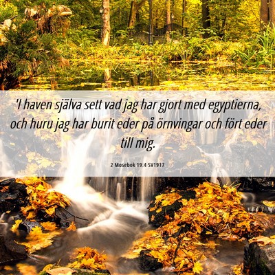 Picture 06 - 2 Mosebok 19:4 SV1917 - 'I haven själva sett vad jag har gjort med - Bible Verse Picture